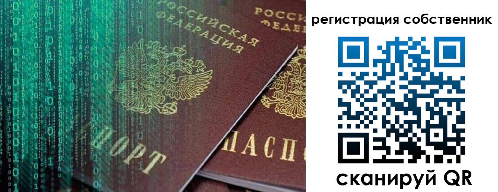 прописка поиск в Тырныаузе